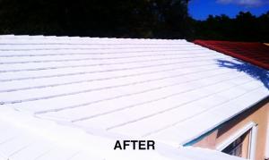 Tile Roof After