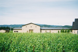 Kapsandi Winery - Rutherford, CA TC600